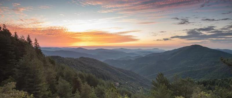 Cévennes